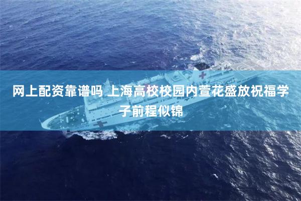 网上配资靠谱吗 上海高校校园内萱花盛放祝福学子前程似锦