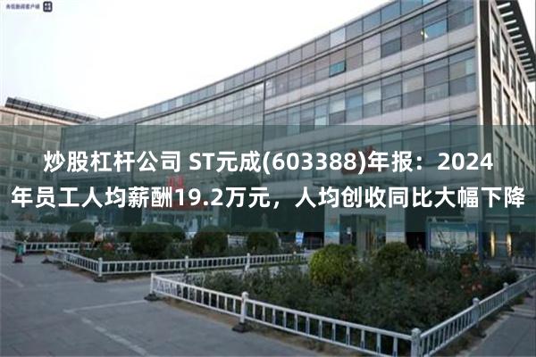 炒股杠杆公司 ST元成(603388)年报：2024年员工人