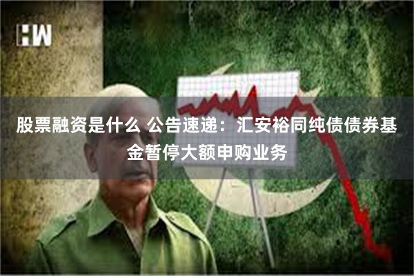 股票融资是什么 公告速递：汇安裕同纯债债券基金暂停大额申购业