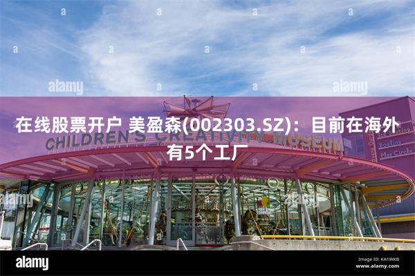 在线股票开户 美盈森(002303.SZ)：目前在海外有5个