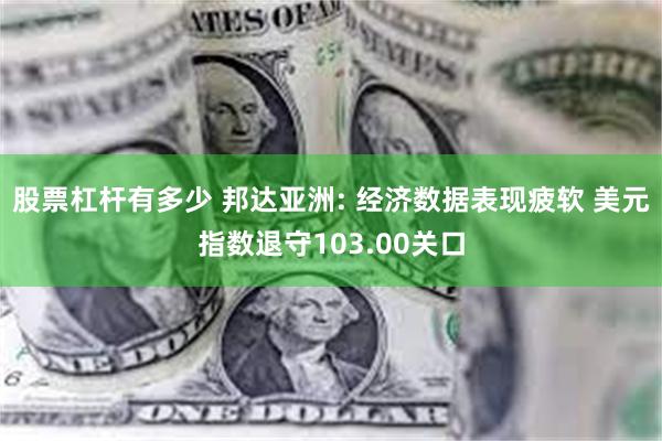 股票杠杆有多少 邦达亚洲: 经济数据表现疲软 美元指数退守1