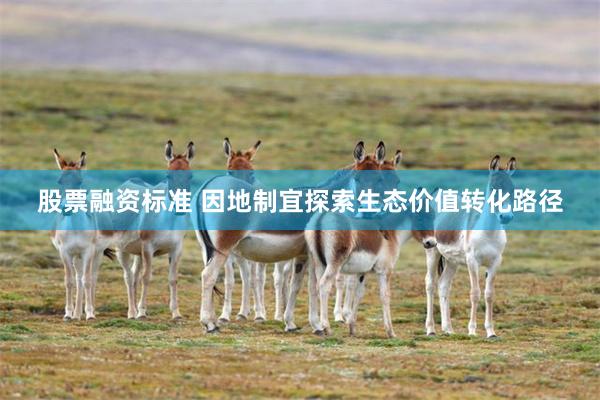 股票融资标准 因地制宜探索生态价值转化路径