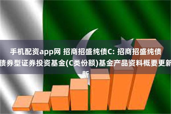 手机配资app网 招商招盛纯债C: 招商招盛纯债债券型证券投