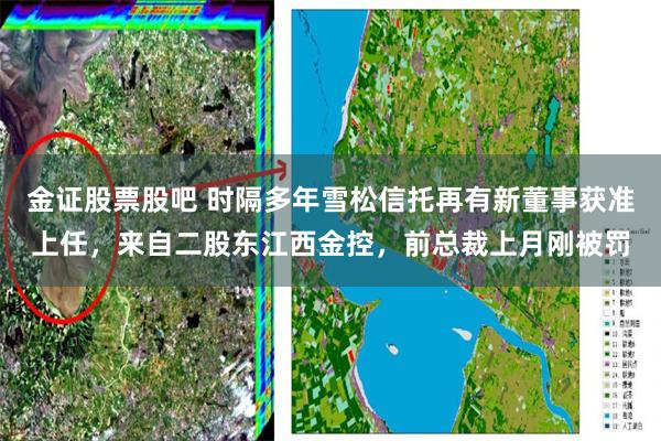 金证股票股吧 时隔多年雪松信托再有新董事获准上任，来自二股东