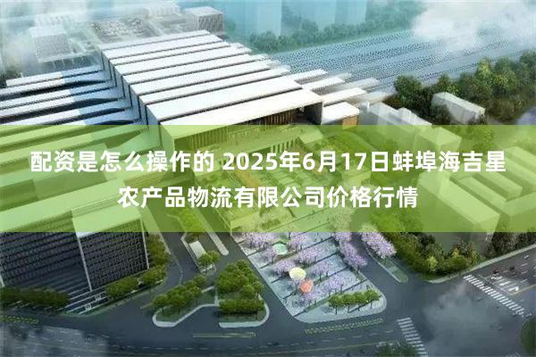 配资是怎么操作的 2025年6月17日蚌埠海吉星农产品物流有限公司价格行情