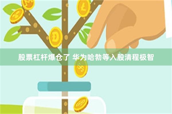 股票杠杆爆仓了 华为哈勃等入股清程极智