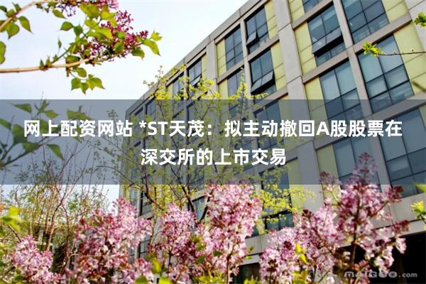 网上配资网站 *ST天茂：拟主动撤回A股股票在深交所的上市交