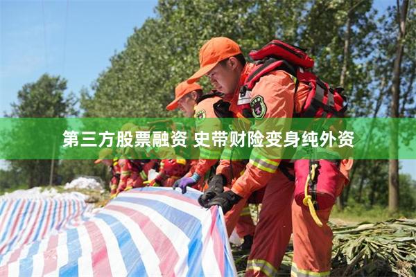 第三方股票融资 史带财险变身纯外资