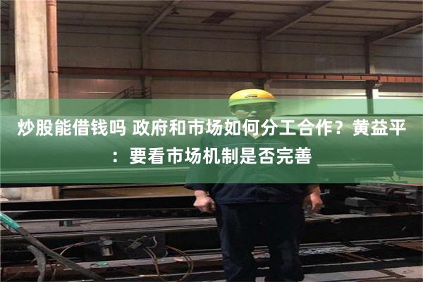 炒股能借钱吗 政府和市场如何分工合作？黄益平：要看市场机制是
