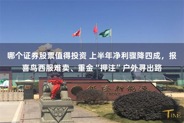 哪个证券股票值得投资 上半年净利骤降四成，报喜鸟西服难卖、重