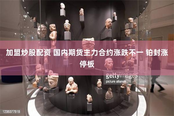 加盟炒股配资 国内期货主力合约涨跌不一 铂封涨停板